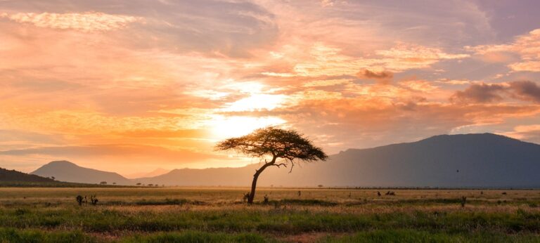 Navigating Nature’s Balance: Local Initiatives in Tackling Environmental Challenges