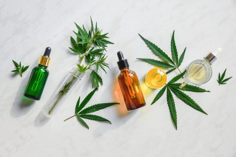 How CBD oil can help your furry friend